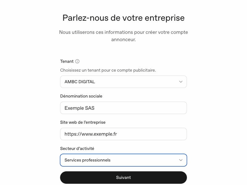 Formulaire entreprise ChatGPT Ads : denomination sociale, site web, secteur d'activite