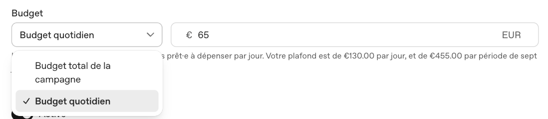 Choix entre budget total de la campagne et budget quotidien dans ChatGPT Ads